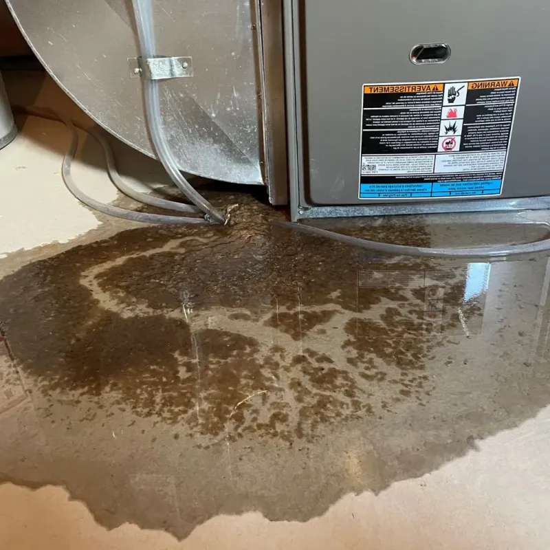 Pipe Burst and Leak Restoration in Roanoke, VA