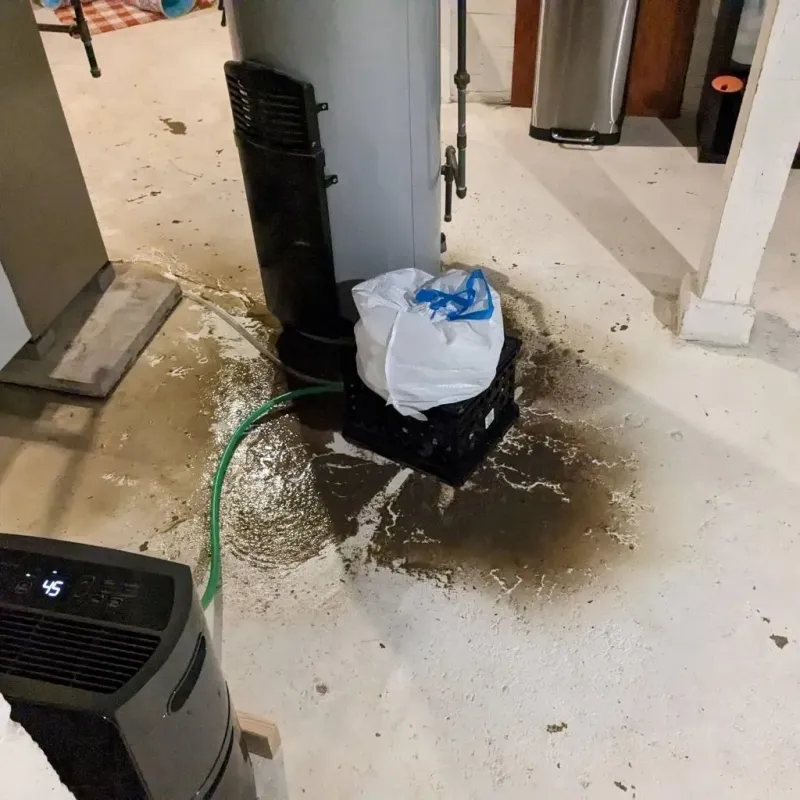 Sewage Backup Cleanup Service in Roanoke, VA